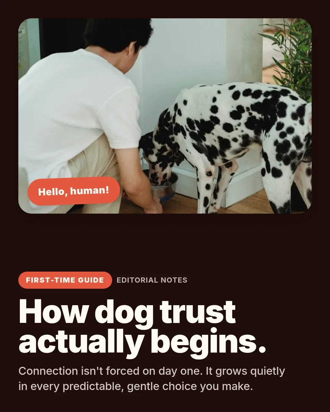 Free Coral Companion LinkedIn Carousel Template slide 1: Hello, human! First-Time Guide Editorial Notes How dog trust actually begins. Connection isn't forced on day one. It grows quietly in eve...