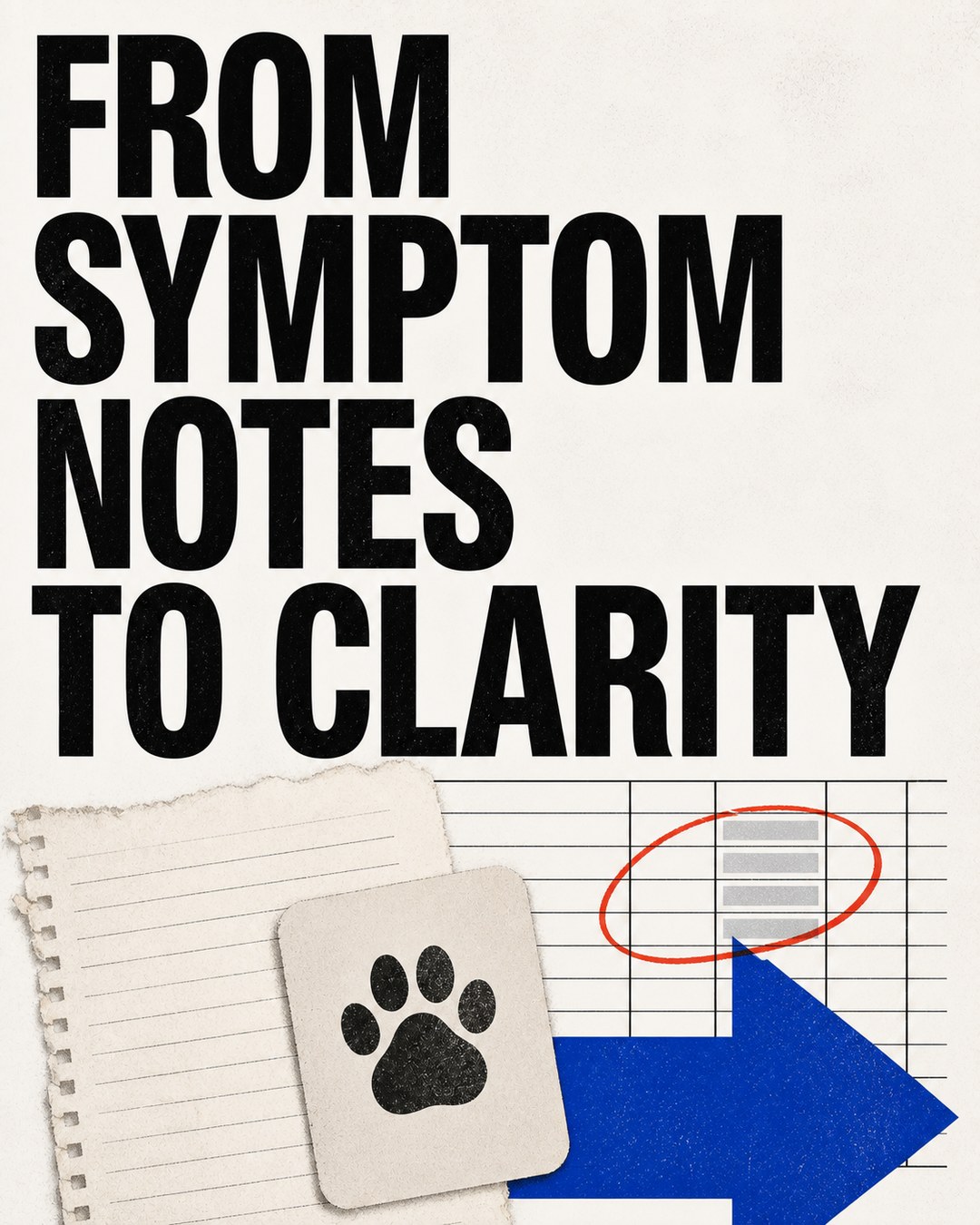 LinkedIn graphic reading “FROM SYMPTOM NOTES TO CLARITY” over a torn paper note and paw print card transitioning into a spreadsheet chart